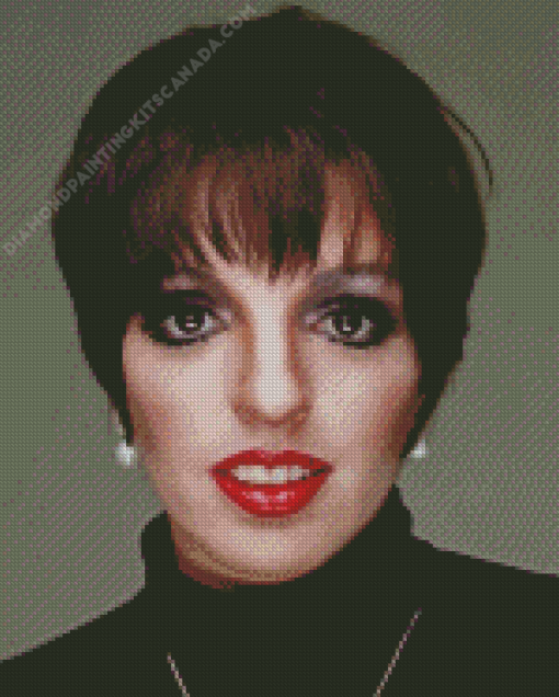 Liza Minnelli Diamond Painting