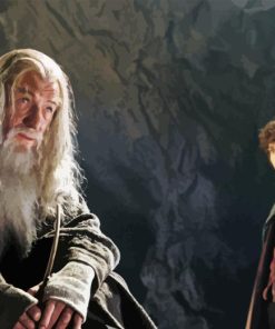 Lord of The Rings Gandalf and Frodo Diamond Painting