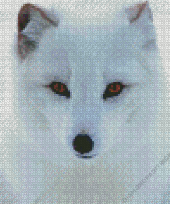 Polar Fox Art Diamond Painting