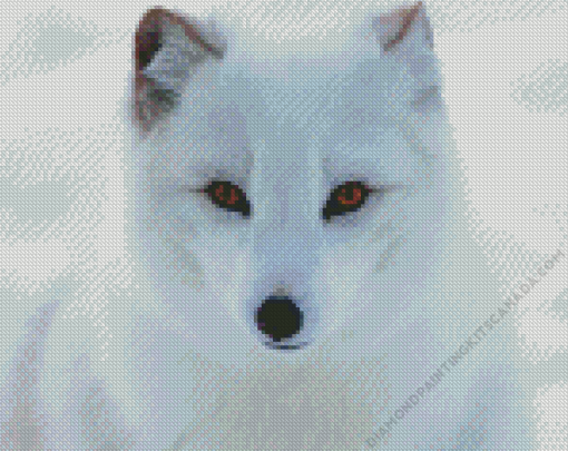 Polar Fox Art Diamond Painting