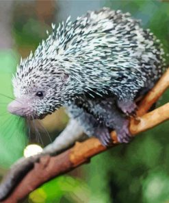 Prehensile Tailed Brazilian Porcupine Diamond Painting