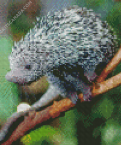 Prehensile Tailed Brazilian Porcupine Diamond Painting