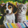 Puppy and Kitten Diamond Painting