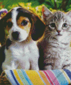 Puppy and Kitten Diamond Painting
