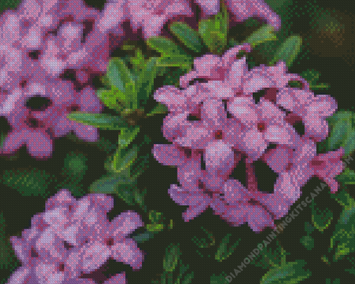 Purple Daphne Flowers Diamond Painting