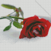 Red Rose In Snow Diamond Painting