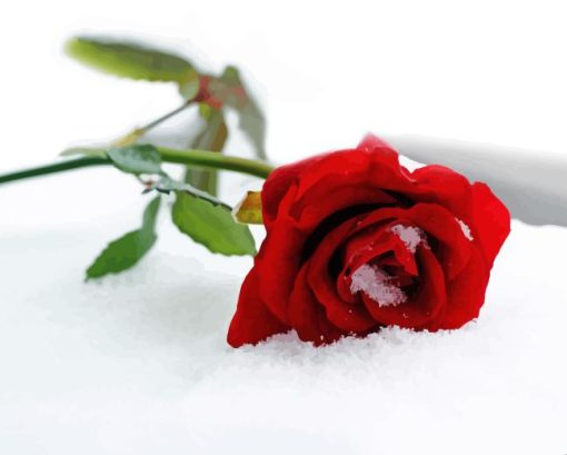 Red Rose In Snow Diamond Painting