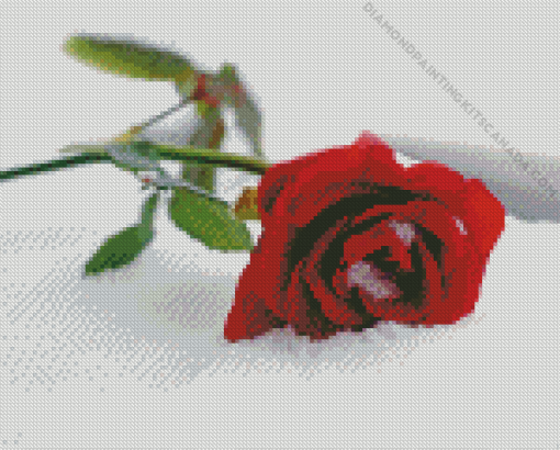 Red Rose In Snow Diamond Painting