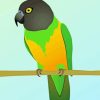 Senegal Parrot Diamond Painting