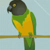 Senegal Parrot Diamond Painting