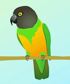 Senegal Parrot Diamond Painting