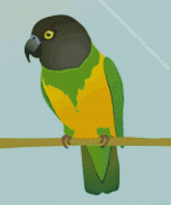 Senegal Parrot Diamond Painting