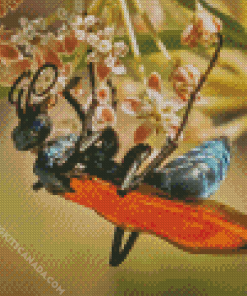 Tarantula Hawk Diamond Painting