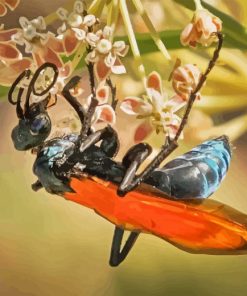 Tarantula Hawk Diamond Painting