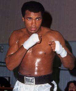 The Boxer Muhammad Ali Diamond Painting