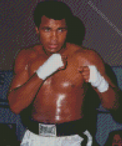 The Boxer Muhammad Ali Diamond Painting