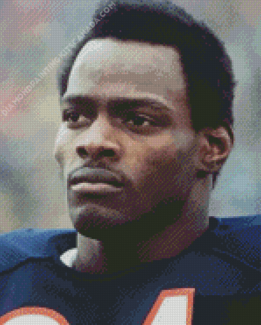 Walter Payton Diamond Painting