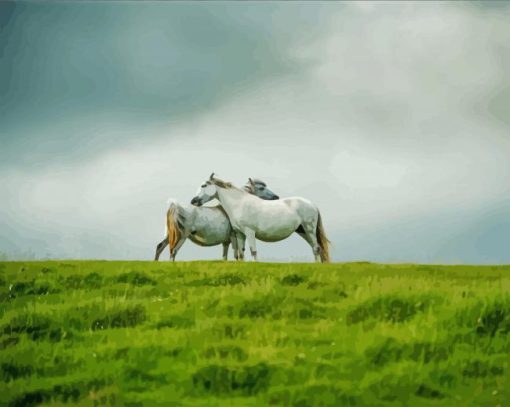 Wild Grey Horse Couple Diamond Painting