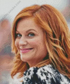 Amy Poehler Actress Diamond Painting