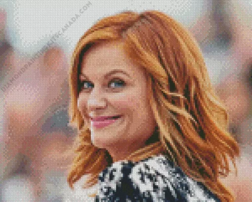 Amy Poehler Actress Diamond Painting