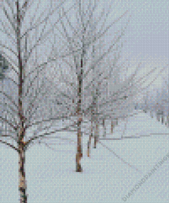 Birch Trees in Winter Diamond Painting