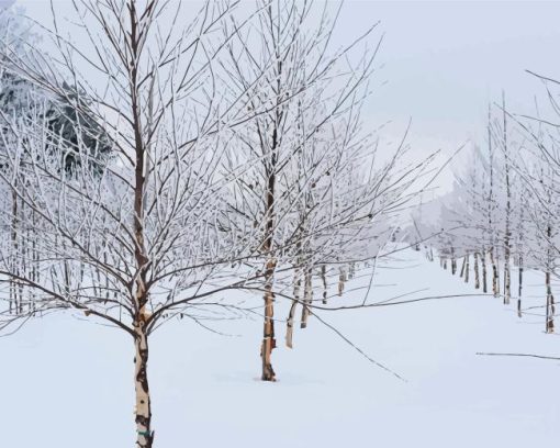 Birch Trees in Winter Diamond Painting