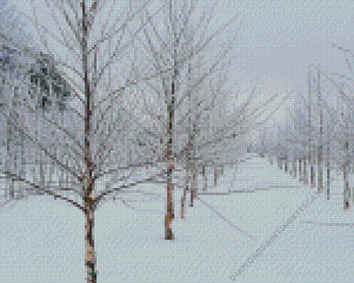 Birch Trees in Winter Diamond Painting