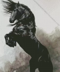 Black Stallion Horse Art Diamond Painting