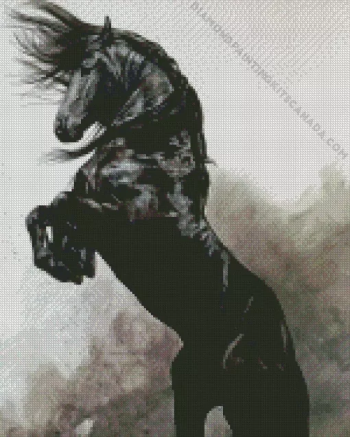 Black Stallion Horse Art Diamond Painting