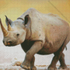 Black Rhino Baby Diamond Painting