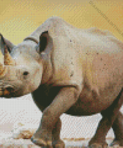 Black Rhino Baby Diamond Painting