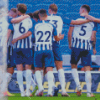 Brighton And Hove Albion Team Diamond Painting