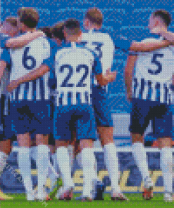 Brighton And Hove Albion Team Diamond Painting