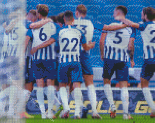 Brighton And Hove Albion Team Diamond Painting