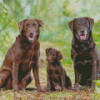 Brown Labradors Diamond Painting