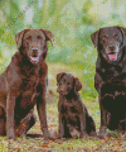 Brown Labradors Diamond Painting