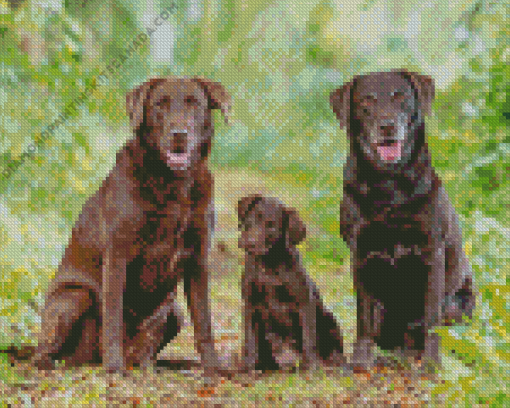 Brown Labradors Diamond Painting