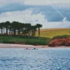 Budleigh Salterton Diamond Painting