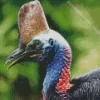 Cassowary Diamond Painting