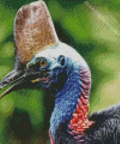 Cassowary Diamond Painting