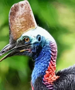 Cassowary Diamond Painting