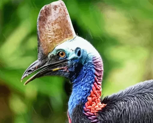 Cassowary Diamond Painting