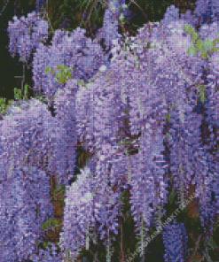 Chinese Wisteria Tree Diamond Painting