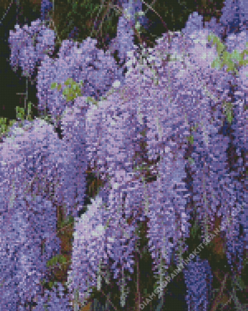 Chinese Wisteria Tree Diamond Painting