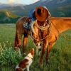 Cowboy With Horse And Dog In Nature Diamond Painting