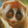 Cute Primate Animal Diamond Painting