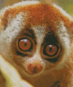 Cute Primate Animal Diamond Painting