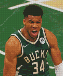 Giannis Antetokounmpo Diamond Painting