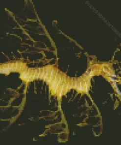 Leafy Seadragon Diamond Painting