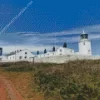 Lizard Lighthouse Diamond Painting